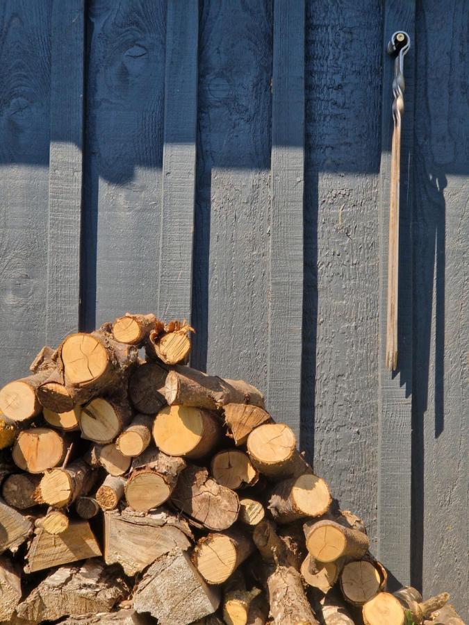 Pienine Lägenhet Ventė Exteriör bild